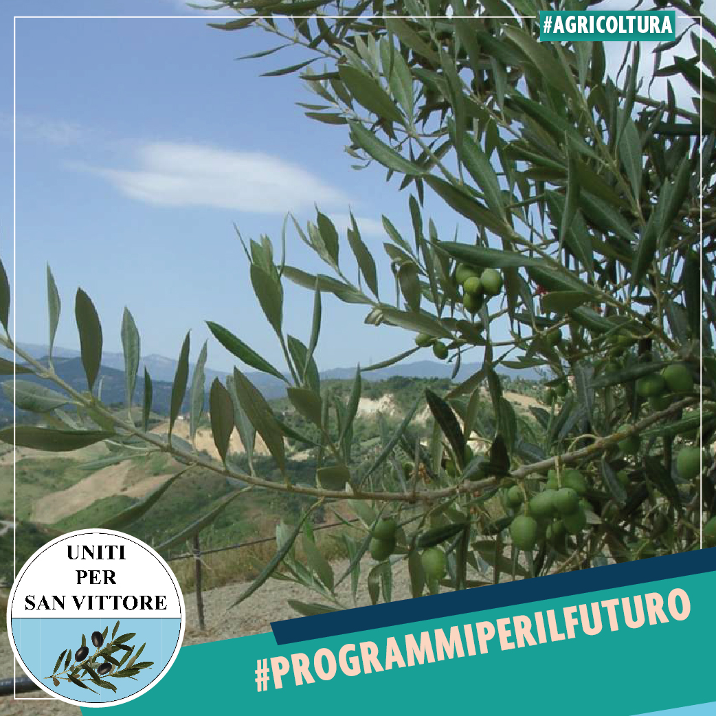 PROGRAMMA PER IL FUTURO_Tavola disegno 1